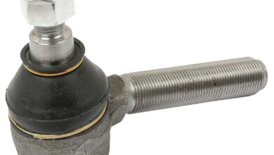 Root Başı Nedir? 4